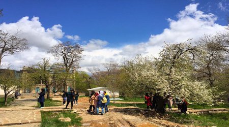 در جستجوی شکوفه های بهاری در تور یکروزه منطقه آزاد ماکو