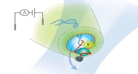 Screening for rare but important disease ‘biomarkers’ gets an accuracy boost