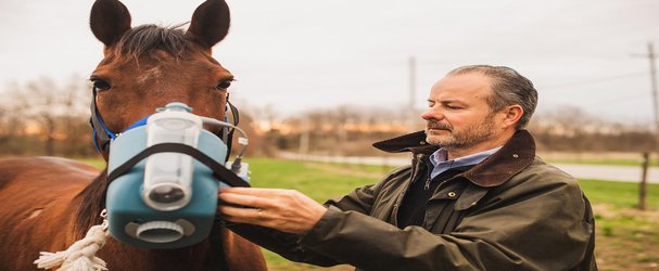 Even Mild Cases of Asthma Can Slow Down Elite Racehorses