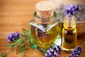 ۲۳ طرح فناورانه نیاز بازار و صنایع حد واسط گیاهان دارویی را تامین می‌کند