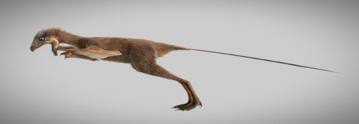 Newly Discovered Bat-Like Dinosaur Reveals the Intricacies of Prehistoric Flight