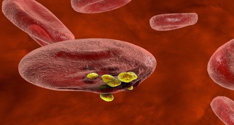 Smart design could prevent drug resistance in new malaria treatments