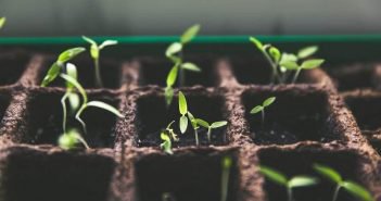 اطلاعیه مهم در خصوص اوقات فراغت دانشجویان خوابگاهی