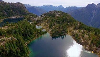 The Glaciers of Vancouver Island May Disappear Within Our Lifetime