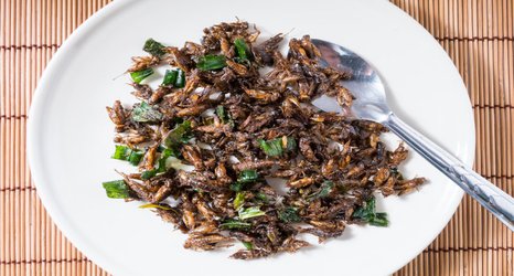 Eating insects makes sense. So why don’t we?