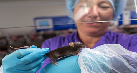 Imperial named Leader in Openness on animal research