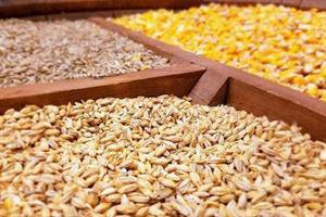 با یک ایده استارتاپی توزیع نهاده‌های کشاورزی متمرکز شد