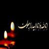 پیام تسلیت رئیس دانشگاه لرستان در پی درگذشت شادروان محمدرضا حافظی