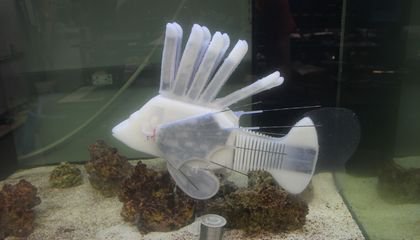Engineers Built a Robotic Lionfish With an Energetic Bloodstream