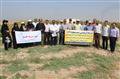برگزاری روز مزرعه کینوا در خوزستان با محوریت « امکان تولید بذر – علوفه و استفاده از زه‌آب»