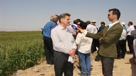 برگزاری روز مزرعه کینوآ در مزرعه جناب آقای حسینی در ساوه