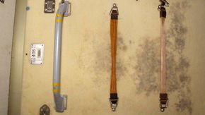 Space station mold survives 200 times the radiation dose that would kill a human