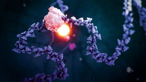 Hidden layer of gene control influences everything from cancer to memory