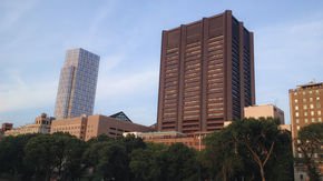 Update: Mount Sinai institute director facing discrimination allegations leaves post