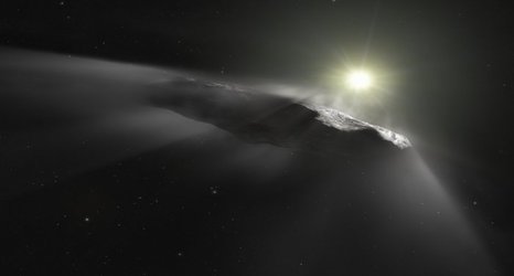 Comet chasing and Animal AI: News from the College