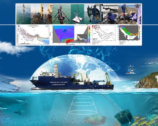 معاون پژوهشگاه ملی اقیانوس شناسی: تدوین برنامه پایش بلندمدت محیط های ساحلی و دریایی کشور ضروری است