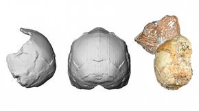 Skull fragment from Greek cave suggests modern humans were in Europe more than 200,000 years ago