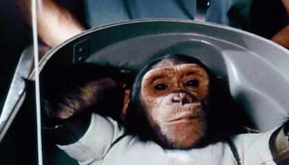 NASA's First Chimp in Space