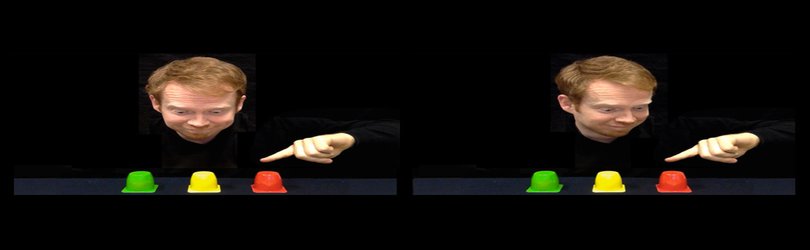 Podcast: The point of pointing, and using seabirds to track ocean health