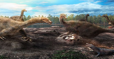 Ancient Mongolian nests show that dinosaurs protected their eggs