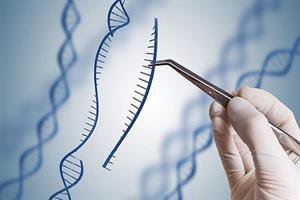 ژن درمانی به کمک نیروی خلاق توسعه می‌یابد