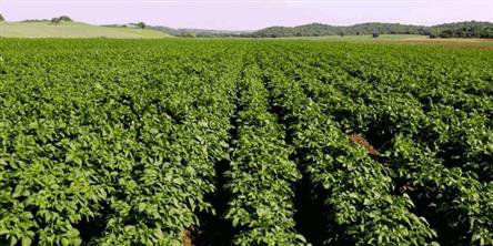 دکتر حسن مختارپور مشاور دکتر کاظم خاوازی معاون وزیر و رئیس سازمان تحقیقات، آموزش و ترویج کشاورزی از ایستگاه تحقیقات کشاورزی و منابع طبیعی آلاروق اردبیل بازدید کرد