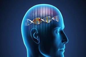 شناسایی ژن های مرتبط با ناتوانی ذهنی سرعت گرفت