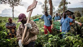 World Bank dedicates $300 million to Ebola response