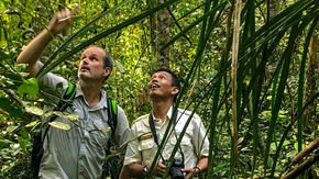 Indonesia’s strict new biopiracy rules could stifle international research