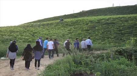 معاون دانشجویی فرهنگی دانشگاه آزاد اسلامی لاهیجان: ورزش‌ همگانی منجر به افزایش همدلی بین خانواده‌ها می‌شود