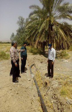 بازدید آقای دکتر حاجبی رئیس مرکز تحقیقات و آموزش هرمزگان از طرح کاشت گیاهان دارویی در مرکز آموزش حاجی آباد هرمزگان