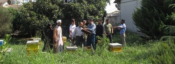 برگزاری دوره آموزشی بهره بردارن با عنوان اصول مقدماتی پرورش زنبورعسل توسط همکاران مرکز آموزش بابلسر