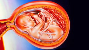 Babies get critical gut bacteria from their mother at birth, not from placenta, study suggests