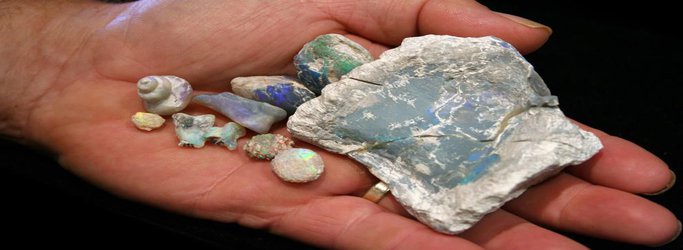 Scientists and Miners Team Up to Preserve Opalized Fossils