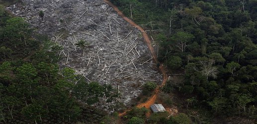 ‘Tropical Trump’ sparks unprecedented crisis for Brazilian science