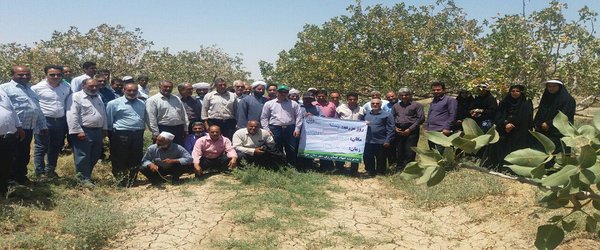 برگزاری روز مزرعه پسته با مشارکت محقق آبیاری بخش تحقیقات فنی و مهندسی خراسان رضوی