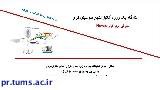 کارگاه  آنالیز نتایج فلوسایتومتری ( معرفی نرم افزارFlowjo )  در مرکز تحقیقات ایمونولوژی، آسم و آلرژی برگزار می شود