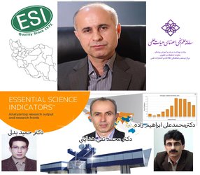 تعداد پژوهشگران دانشگاه علوم پزشکی مازندران در جمع یک درصدبرتر جهان به ۴ نفر رسید - ۱۳۹۸/۰۵/۱۳