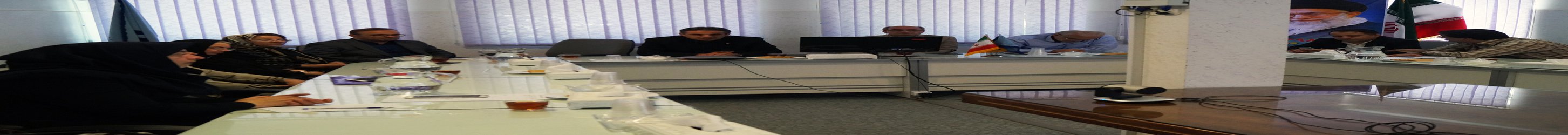 جلسه کمیته دانشگاهی ترویج زایمان طبیعی