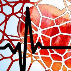 New stem cell combination could help to repair damaged hearts