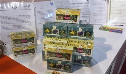 صدور مجوز تولید و بسته‌بندی ۲۰ محصول دارویی در چهارمحال و بختیاری/ اردوگاه ورزشی راه‌اندازی می‌شود