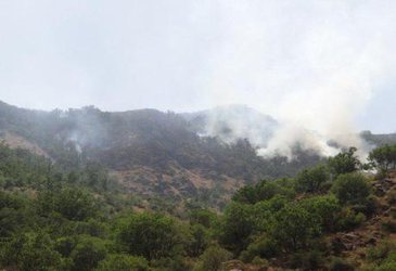 محقق مرکزتحقیقات و آموزش کشاورزی ومنابع طبیعی آذربایجان غربی نسبت به آتش سوزی در مناطق جنگلی و مراتع استان آذربایجان غربی هشدار داد