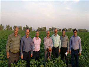 بازدید  معاونین مرکز تحقیقات و آموزش کشاورزی و منابع طبیعی فارس