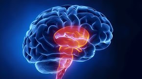 Just one season of playing football—even without a concussion—can cause brain damage