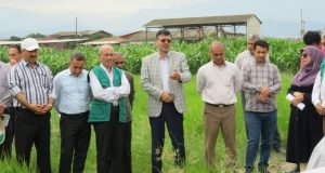 تاکید رییس سازمان جهاد کشاورزی گلستان بر نقش تعیین کننده آموزش در ارتقای بهره وری بخش کشاورزی
