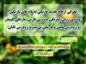 کلیپ کوتاه معرفی چهار رقم جدید نارنگی به نام های نارنگی زودرس زرین، نارنگی دیررس نارین، نارنگی کم‌بذر و زودرس تابش و نارنگی بی‌بذر و زودرس تابان