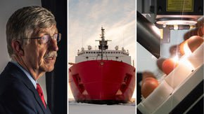 Top stories: Francis Collins’ decade, the upside of melting Arctic ice, and ‘ethical’ eggs