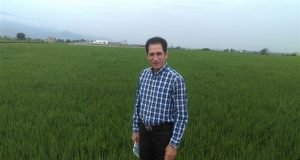 دریافت امتیاز و تقدیر دکتر محمد علی دهقان پژوهشگر بخش تحقیقات زراعی و باغی مرکز تحقیقات و آموزش گلستان از سوی رئیس موسسه تحقیقات اصلاح بذر کشور