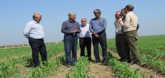 بازدید رئیس مرکز تحقیقات و آموزش کشاورزی و منابع طبیعی استان اردبیل از ایستگاه تحقیقات کشاورزی و منابع طبیعی مغان