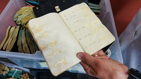 Century-old salmon-smeared notebooks reveal past bounty of fisheries
